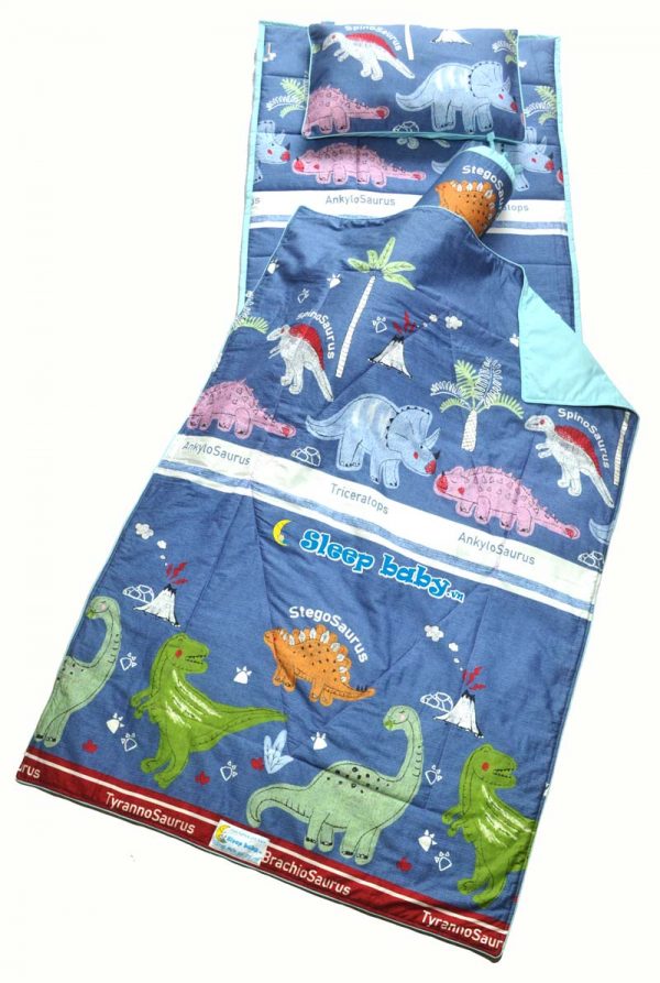School Nap Time Quilted Mat Set Volcanic Dinosaurs